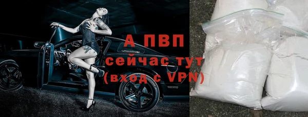 сатива Аркадак