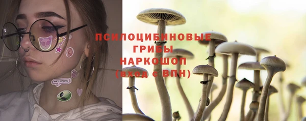 сатива Аркадак