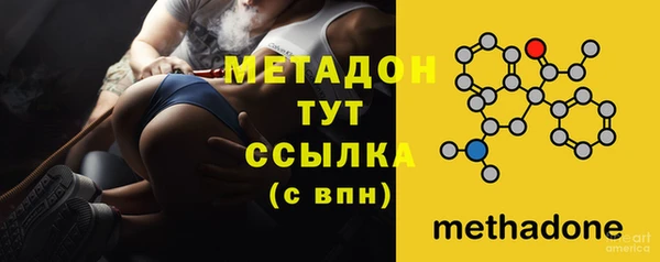 сатива Аркадак
