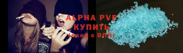 сатива Аркадак