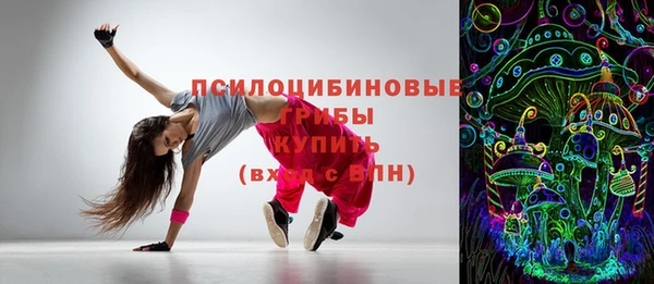 сатива Аркадак