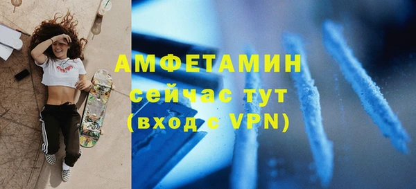 сатива Аркадак