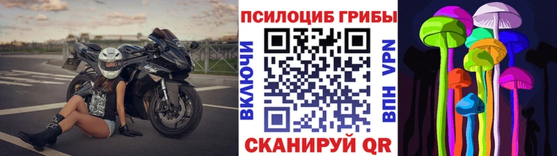 Купить  Бокситогорск  Галлюциногенные грибы ЛСД 